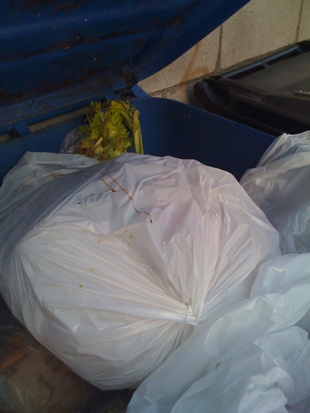 she isn't being "eco" 