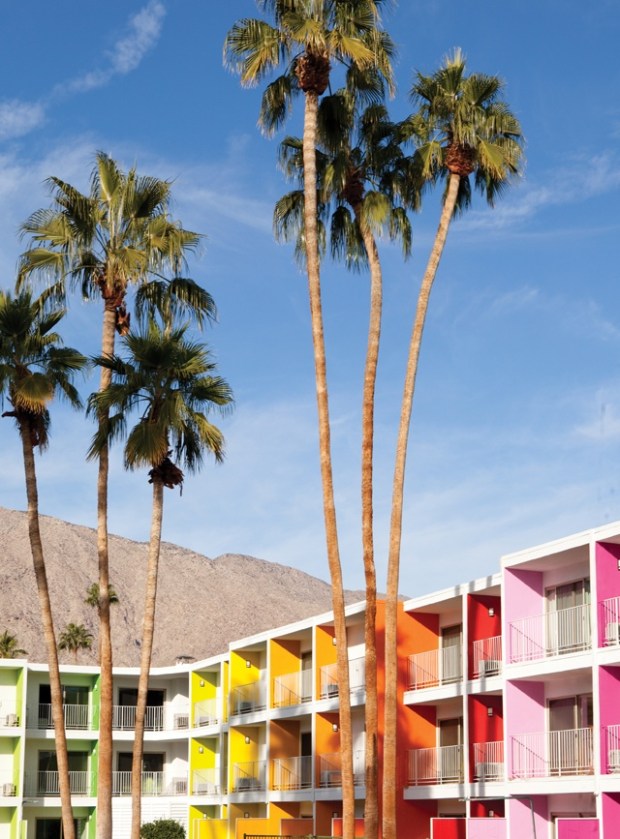 palm springs5