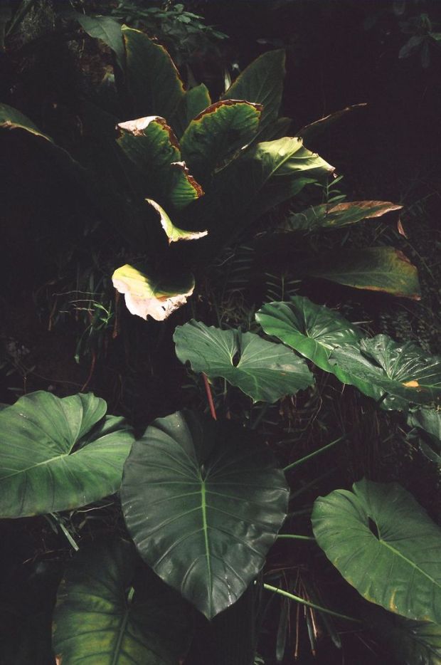 tumblr_mpl4jlUFG81qzec1no1_1280